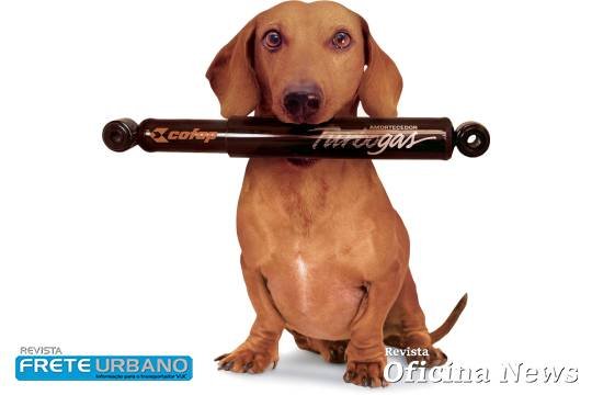 Mascote da Magneti Marelli Cofap completa um ano nas mídias sociais