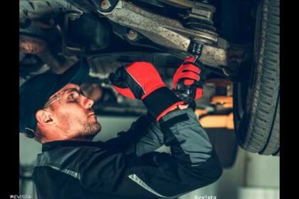 Especialista orienta como manter o coxim em bom estado de conservação