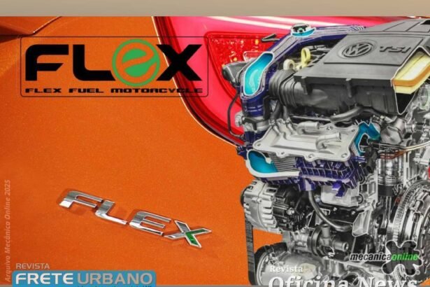 Gasolina mais verde ou armadilha para o motor?