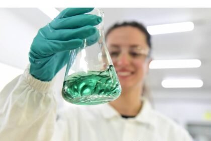 Be8 e Randon firmam parceria para utilização de biocombustível