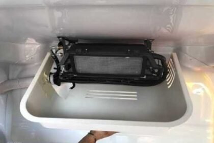 Frigo King reforça sua atuação no transporte de medicamentos