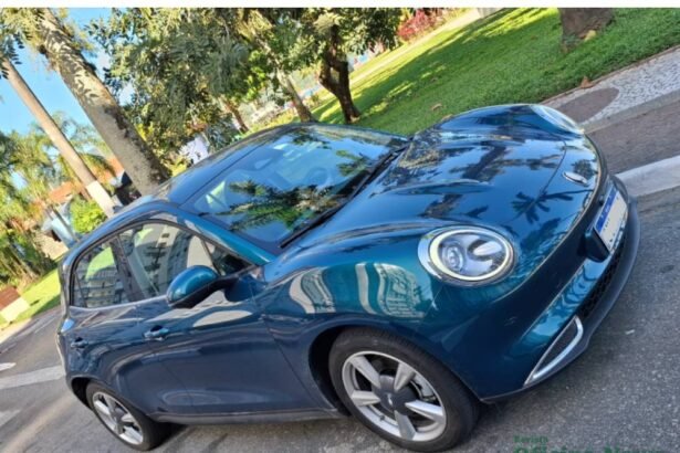 GWM Ora Skin BEV: motor elétrico com muita agilidade
