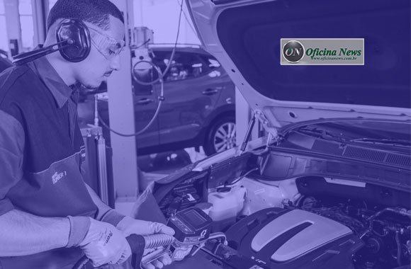 Foco na plantação, para colher bons frutos