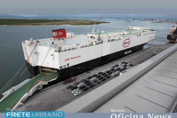 Estratégia de provocação parece pouco inteligente