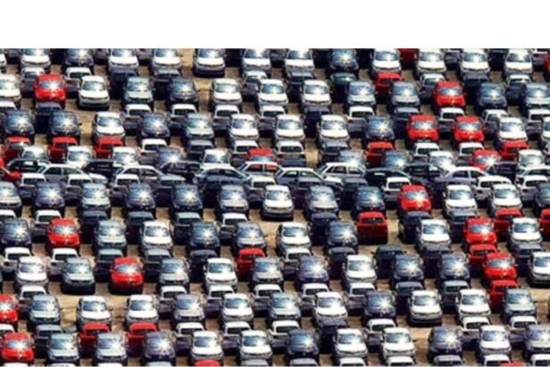 Modelos mais vendidos em 2024 apontam para mudanças este ano