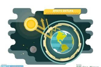 Para controlar CO2, ciclo de vida de um carro é o que mais importa